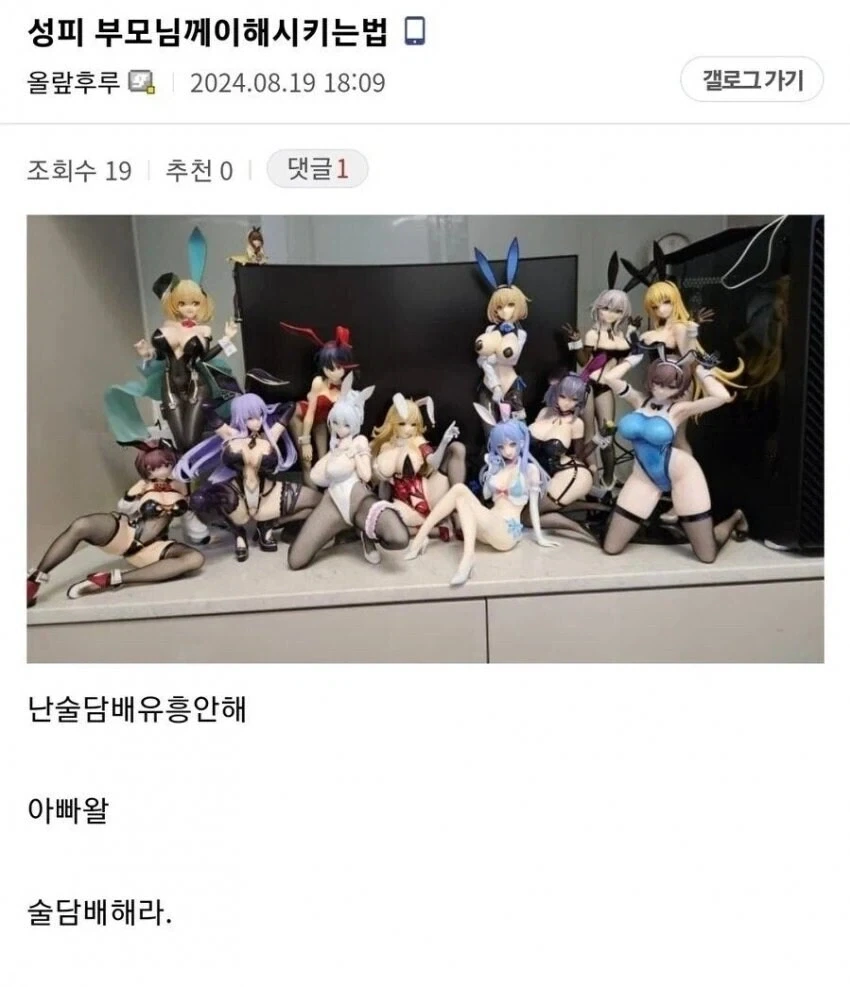 부모님께 성인 피규어 모으는거 이해 시키는 법.jpg_1.webp