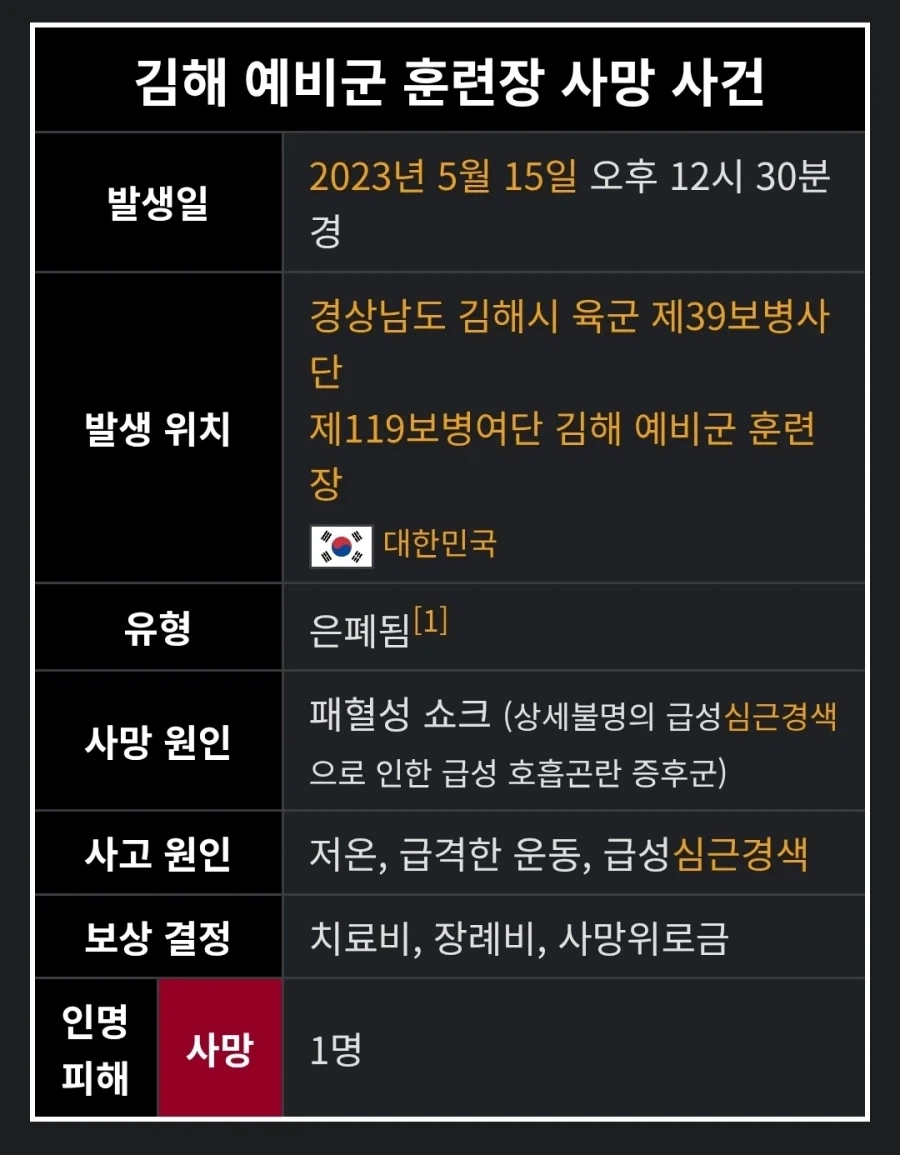 예비군 사망사건과 늑구뉴스 건수를 비교해봤다_2.webp