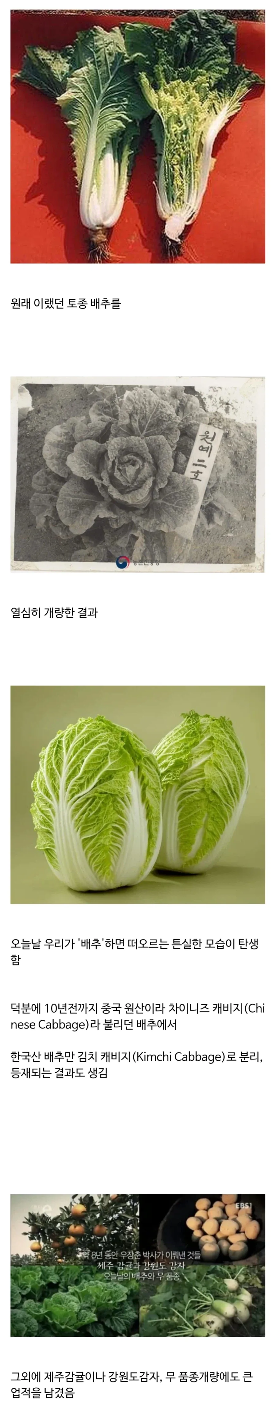 역사) 우장춘 박사의 업적_1.webp