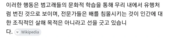 범고래가 요트를 공격하는 이유......ㄷㄷ_3.webp