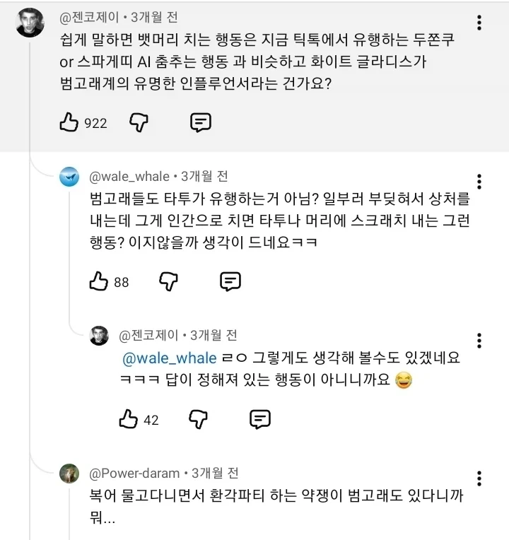 범고래가 요트를 공격하는 이유......ㄷㄷ_4.webp