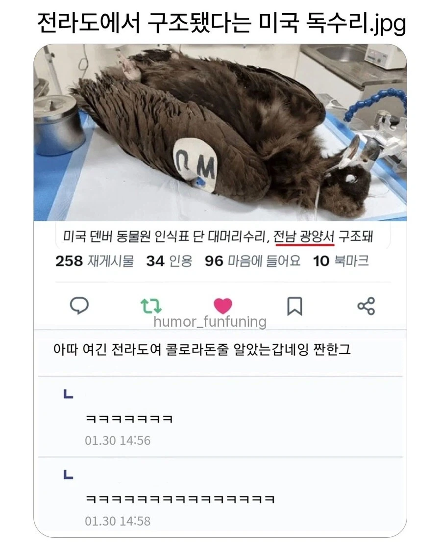 디씨에서 전라도 사투리 드립치는데 다들 감탄한 경우_1.webp
