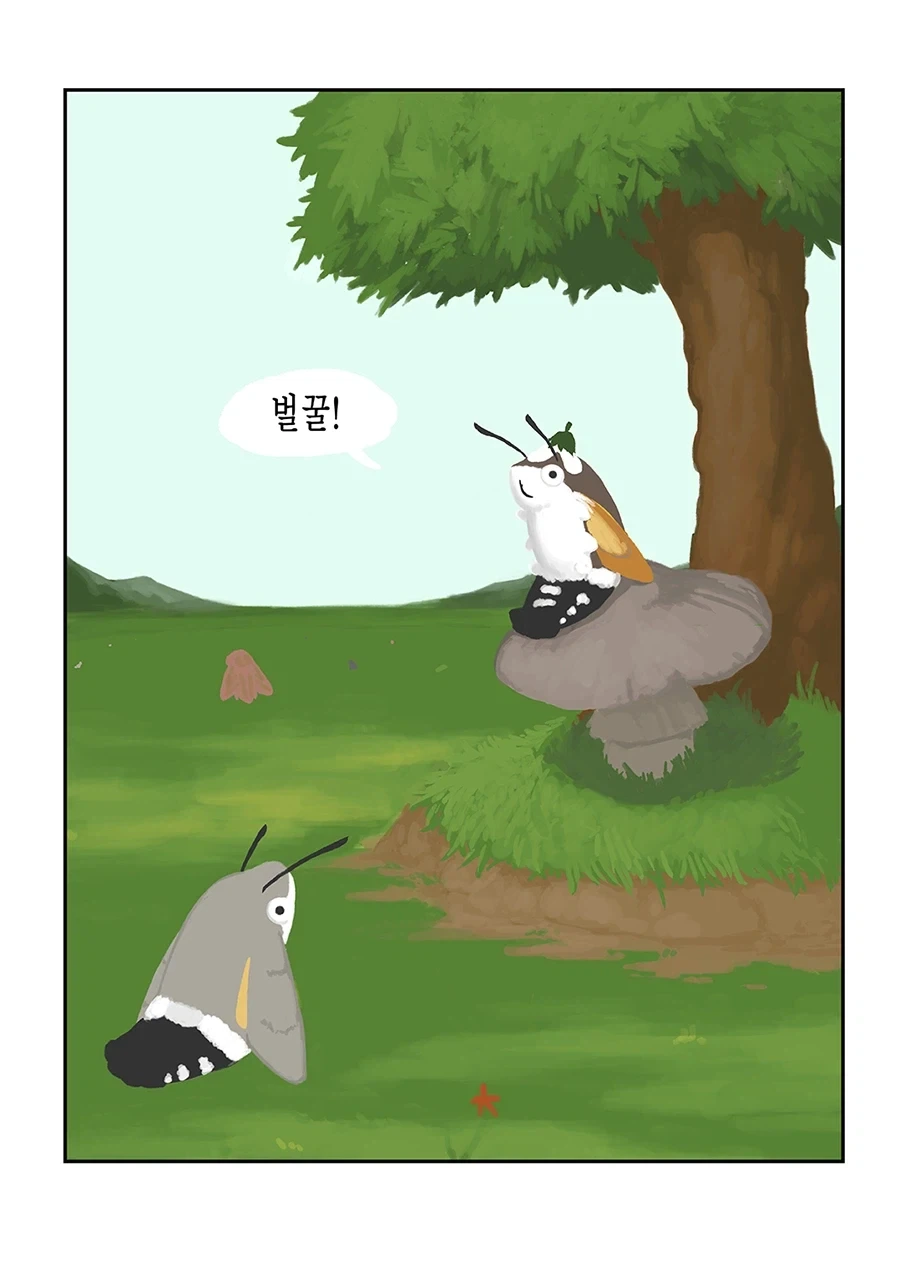 귀여운 박각시 투후투후_1.webp