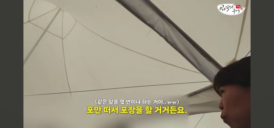 어류 전문가도 눈탱이 당하는 지역축제_7.webp