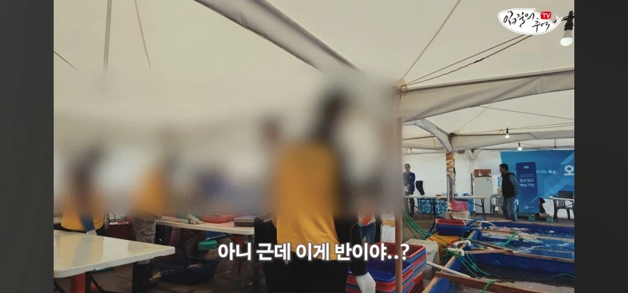 어류 전문가도 눈탱이 당하는 지역축제_27.webp