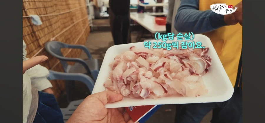 어류 전문가도 눈탱이 당하는 지역축제_41.webp