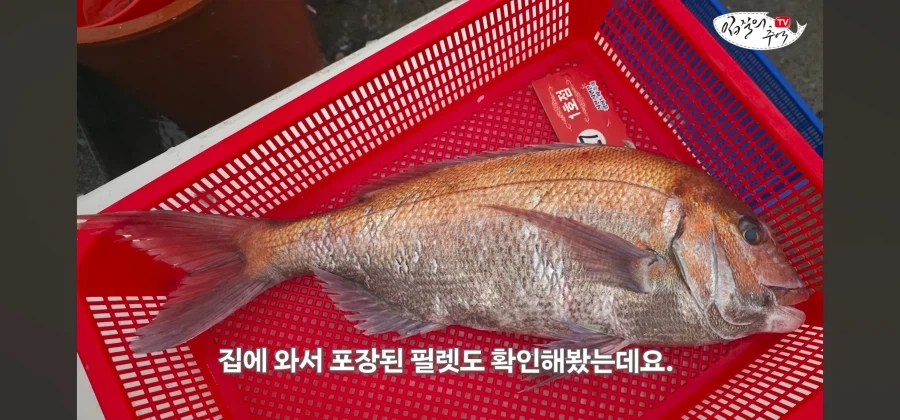 어류 전문가도 눈탱이 당하는 지역축제_46.webp