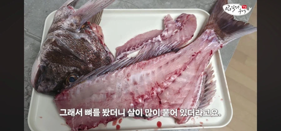 어류 전문가도 눈탱이 당하는 지역축제_49.webp