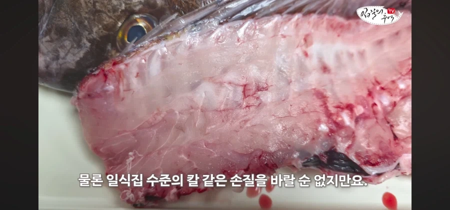 어류 전문가도 눈탱이 당하는 지역축제_50.webp