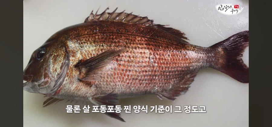 어류 전문가도 눈탱이 당하는 지역축제_53.webp
