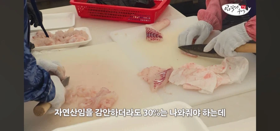 어류 전문가도 눈탱이 당하는 지역축제_54.webp