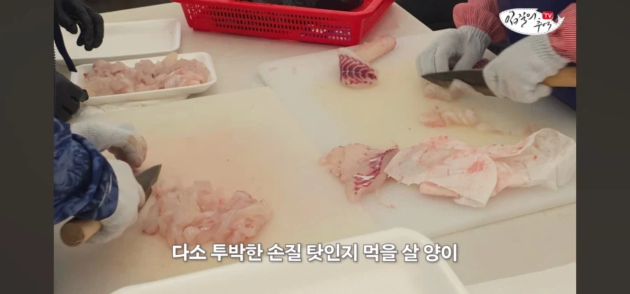 어류 전문가도 눈탱이 당하는 지역축제_55.webp