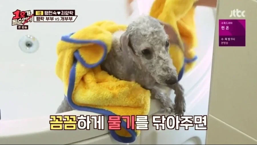 각본으로 절대 못나오는 장면_1.webp