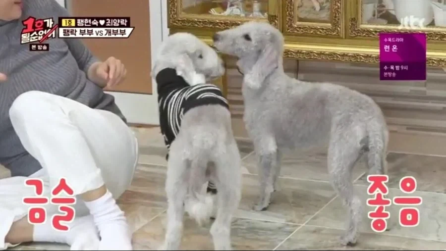 각본으로 절대 못나오는 장면_8.webp