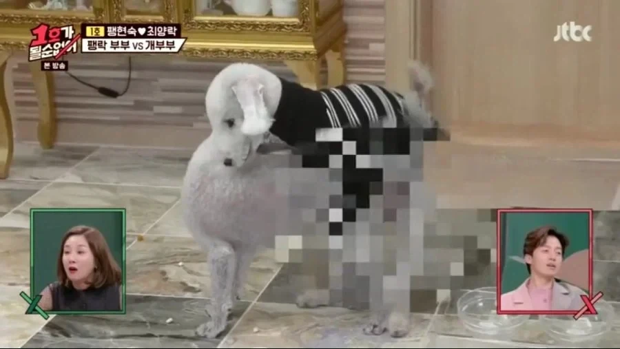 각본으로 절대 못나오는 장면_15.webp