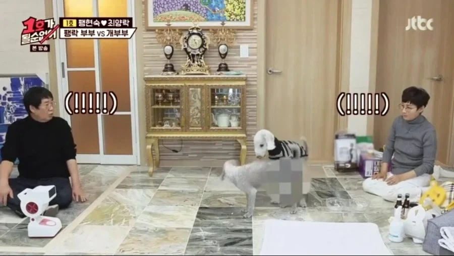 각본으로 절대 못나오는 장면_17.webp