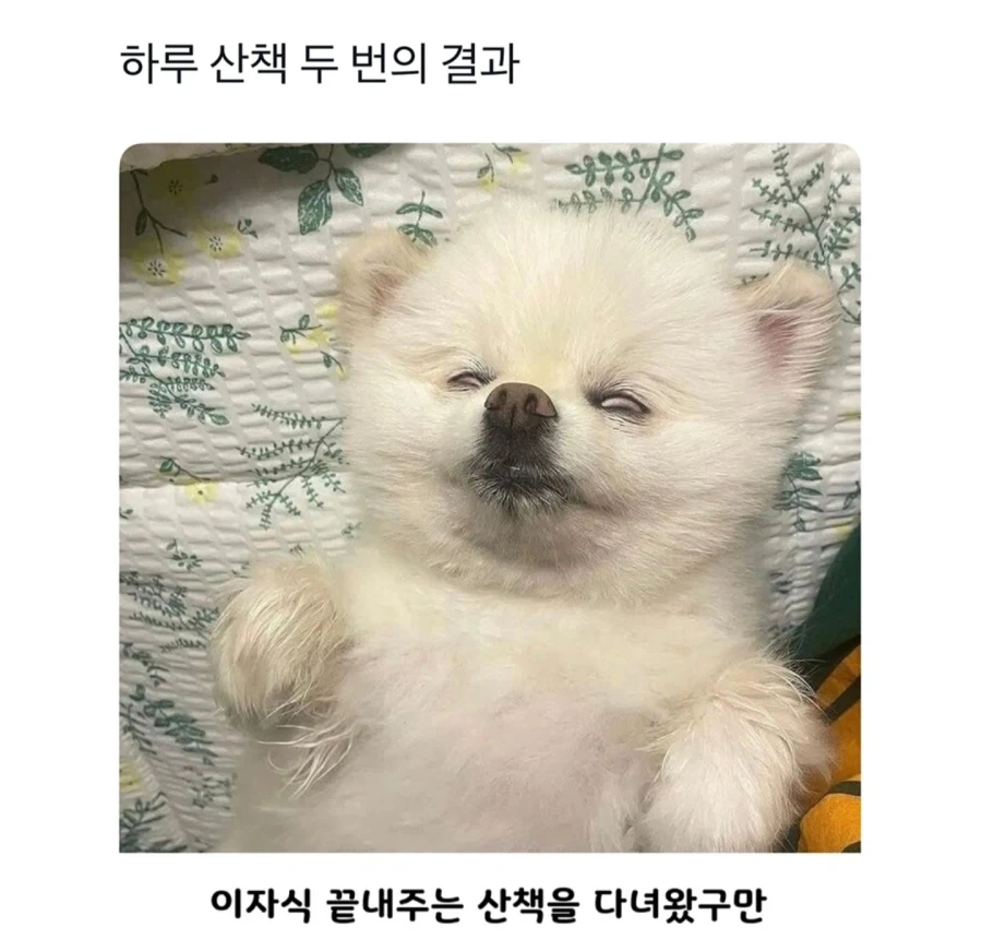 하루 산책 두번의 결과_1.webp