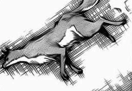 manga_1607737_003.webp