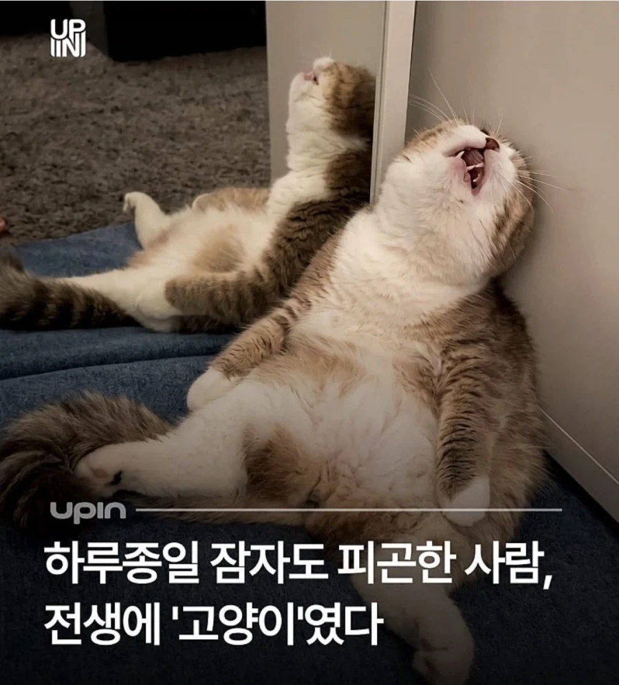 하루종일 자도 피곤한 이유_1.webp