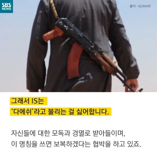 이상한 꼬깔모자 쓰는 애들 누군지 알아봤음!_4.webp