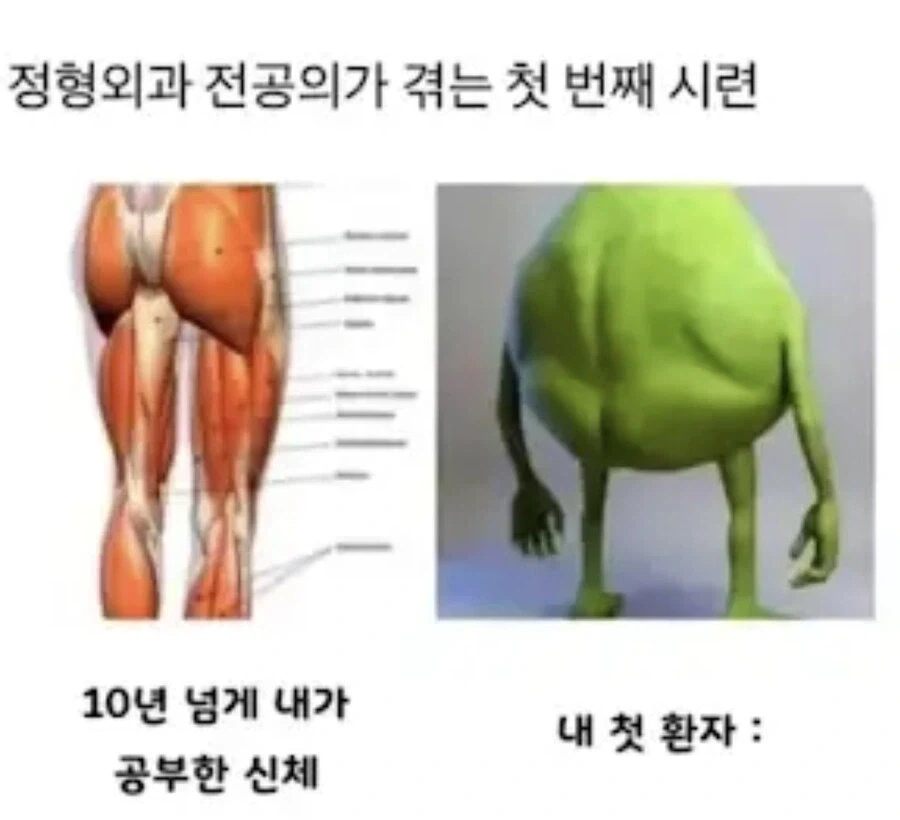 정형외과 전공의가 겪는 첫번째 시련.jpg_1.webp