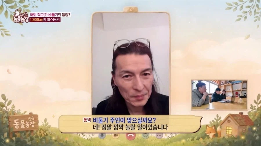 일본에서 1200km 를 날아서 한국으로 온 비둘기_12.webp