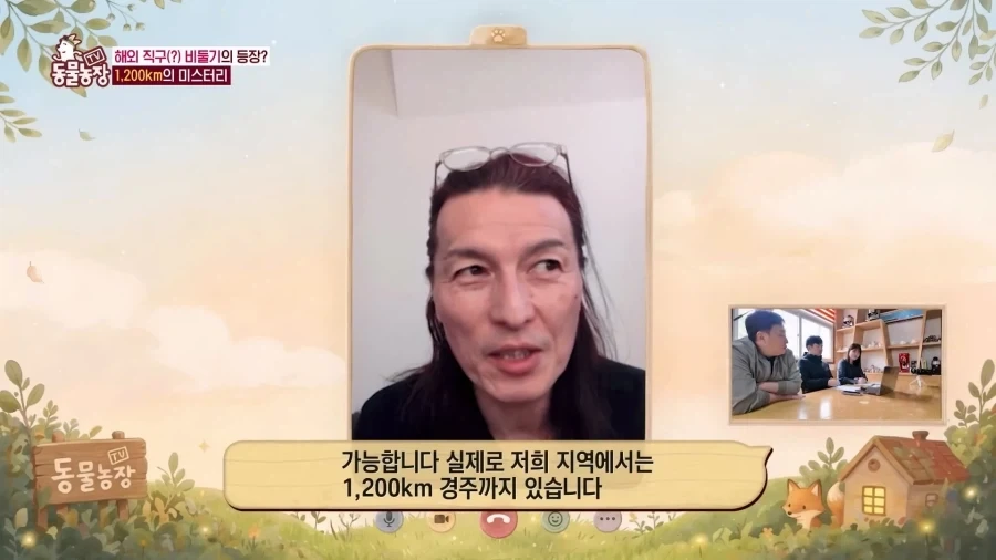 일본에서 1200km 를 날아서 한국으로 온 비둘기_13.webp