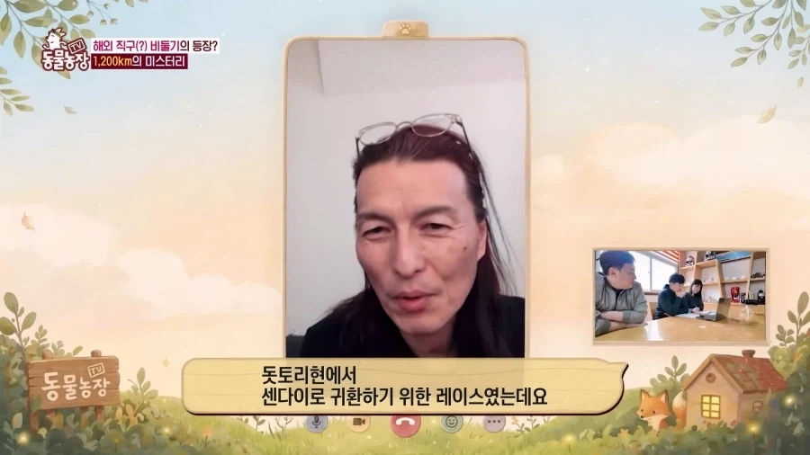 일본에서 1200km 를 날아서 한국으로 온 비둘기_14.webp