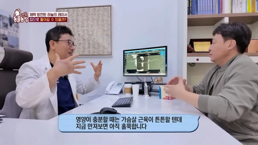 일본에서 1200km 를 날아서 한국으로 온 비둘기_16.webp