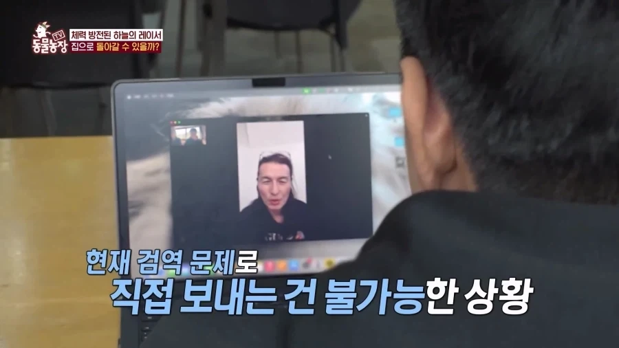 일본에서 1200km 를 날아서 한국으로 온 비둘기_17.webp