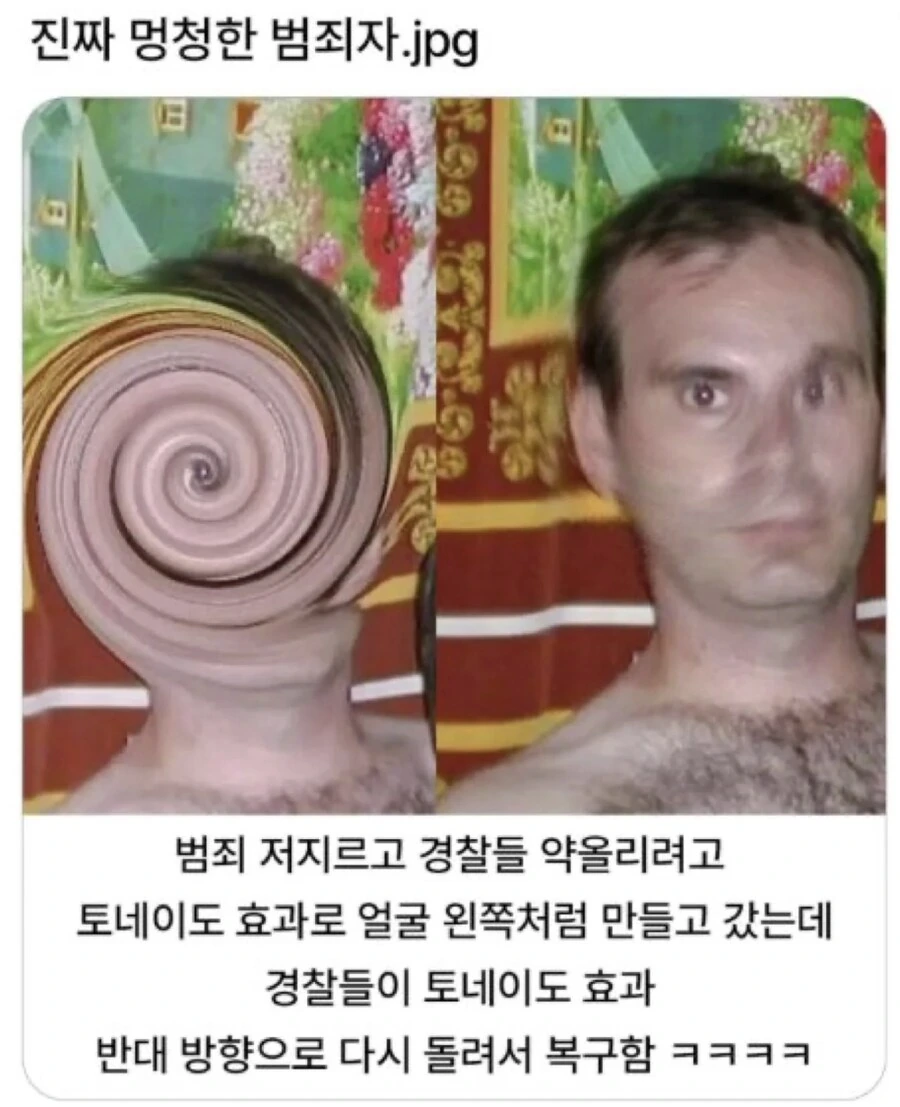 경찰 약올렸다가 결국 잡힌 범죄자_1.png