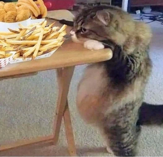 햄버거를 먹을 때, 프렌치 프라이를 멀리해야 되는 이유_1.webp