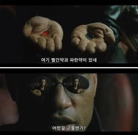 야 너희들 약먹을시간이야 잘 챙겨먹어라_1.webp