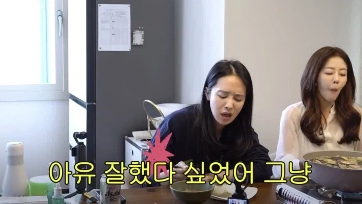 서인영이 스스로 테토녀라고 잘안하던 이유_2.webp