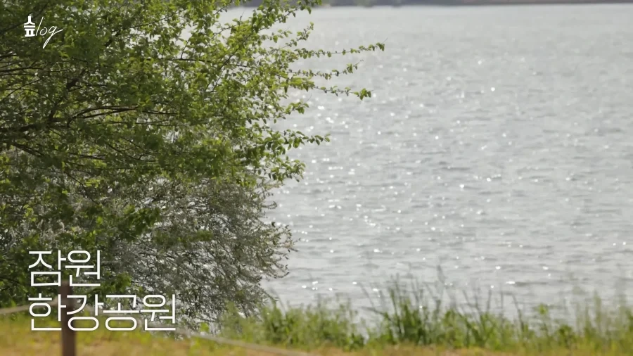 보면 볼 수록 친자매 같은 걸그룹.jpg_1.webp