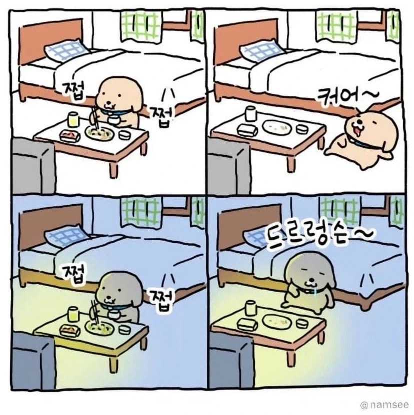 현실적인 자취생의 변화.jpg_2.webp
