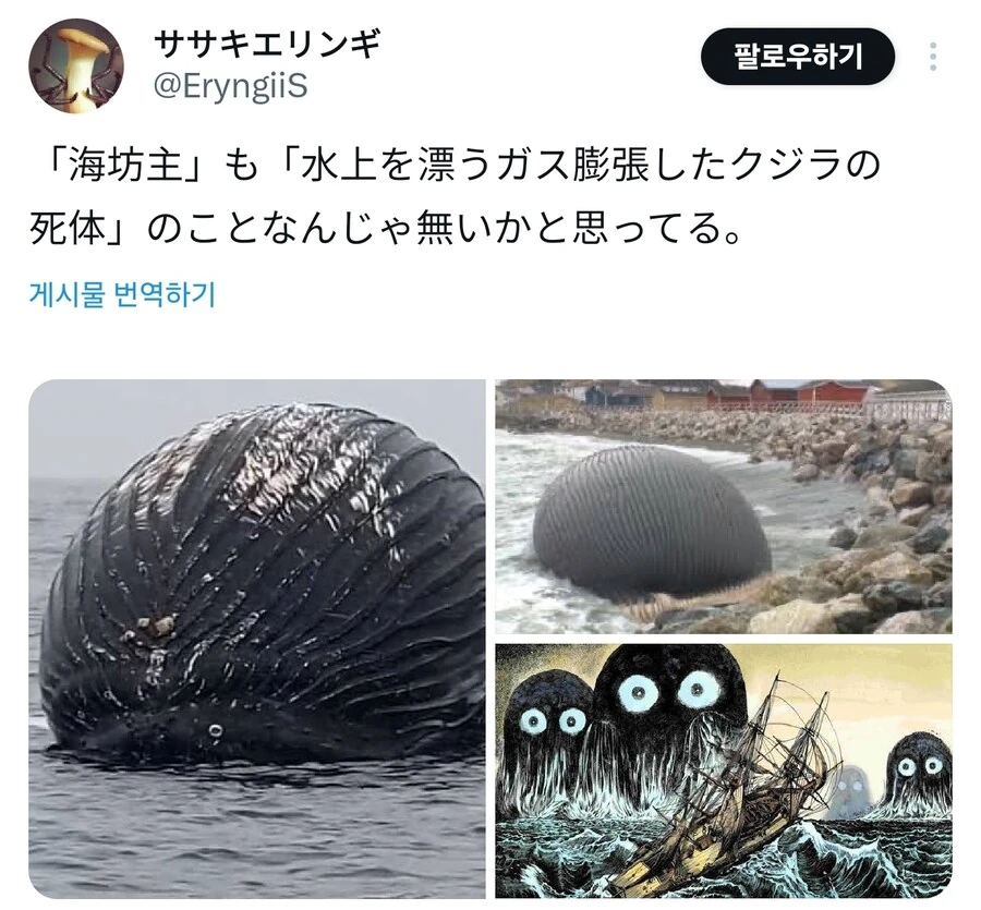 과학의 잔인함_3.jpg