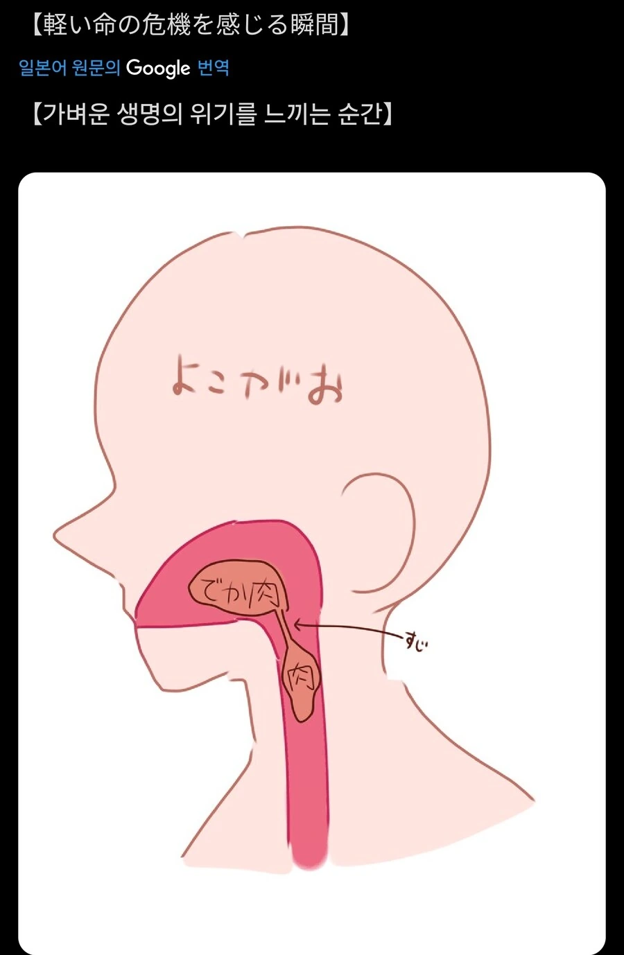 살면서 가볍게 생명의 위협 느끼기_1.jpg