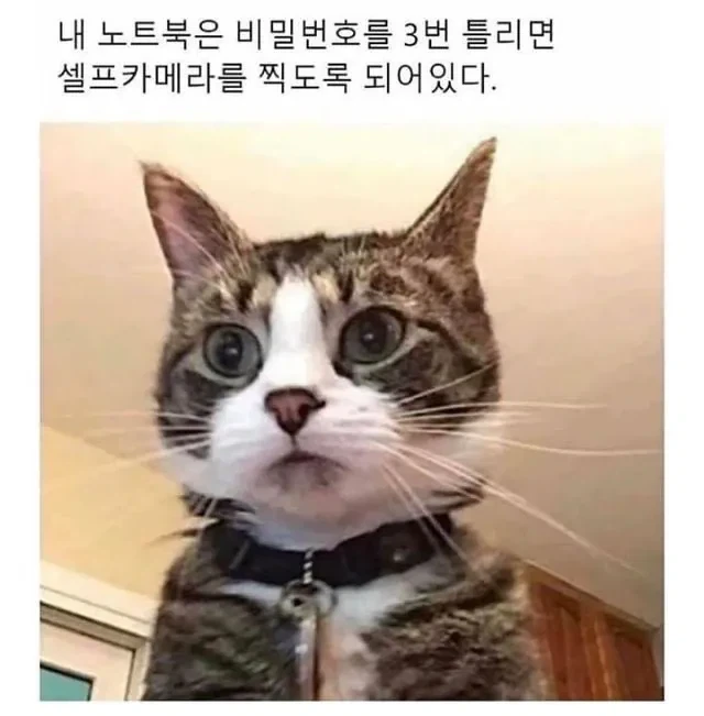 비밀번호 3회 틀리면 셀카찍도록 세팅된 노트북.jpg_1.webp