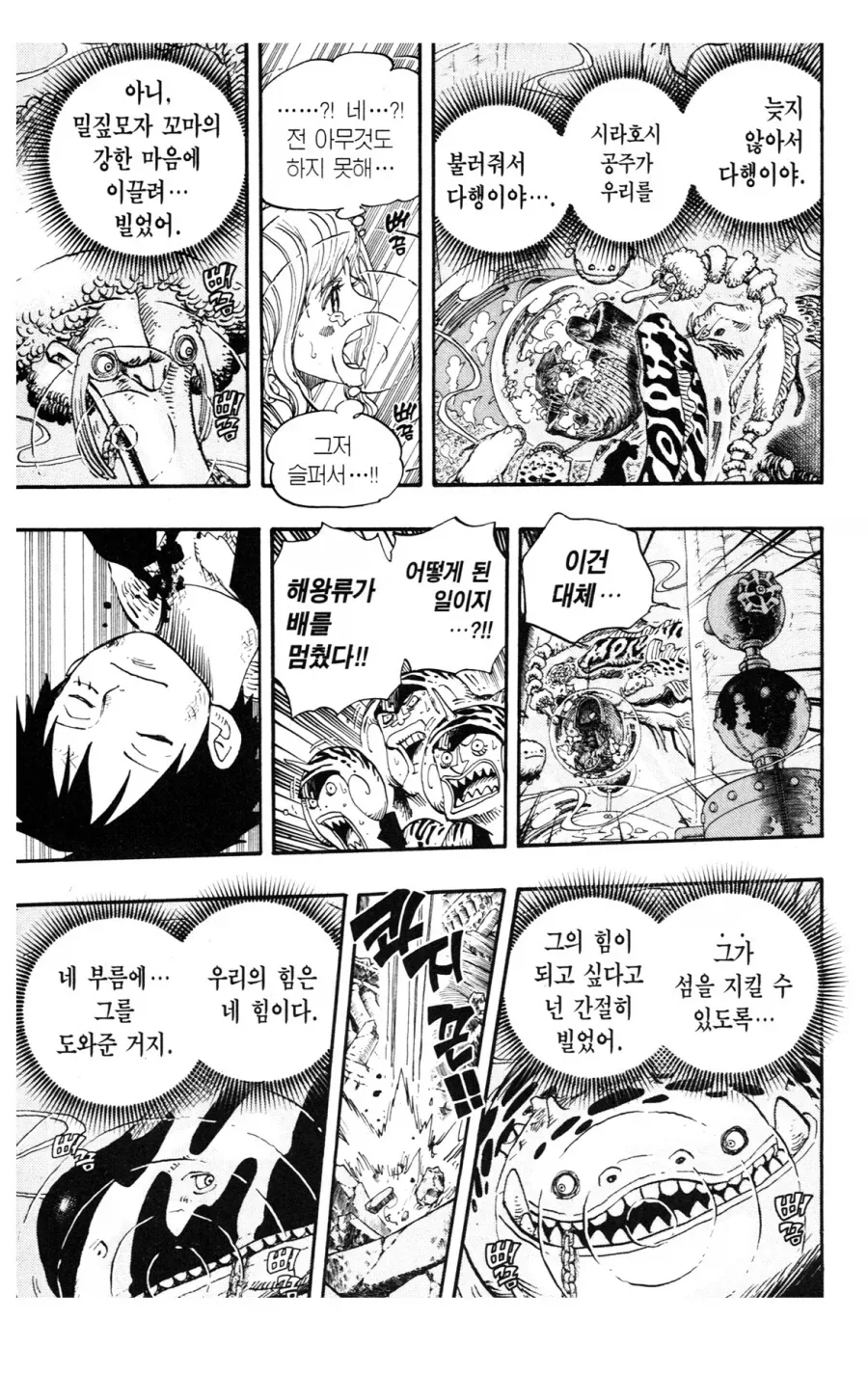 원피스 해왕류들 특징_4.webp