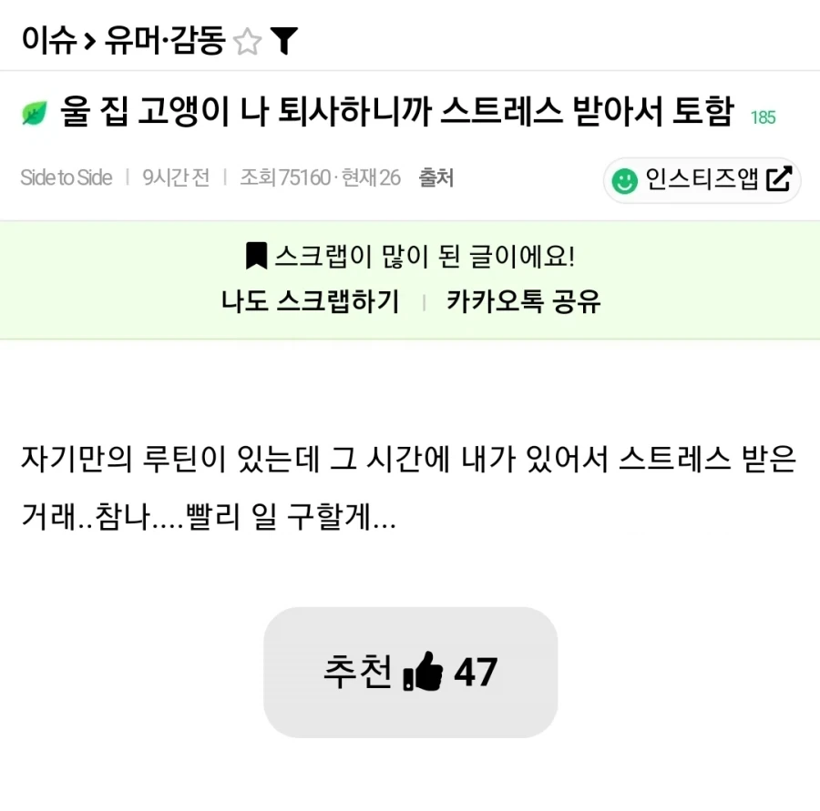 의외로 고양이가 싫어하는 것_1.webp