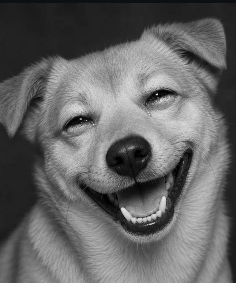 무도 팬이라면 바로 알아보는 짤_1.webp