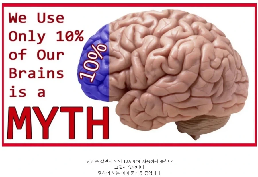 많은 사람들이 믿는 유사과학_1.webp