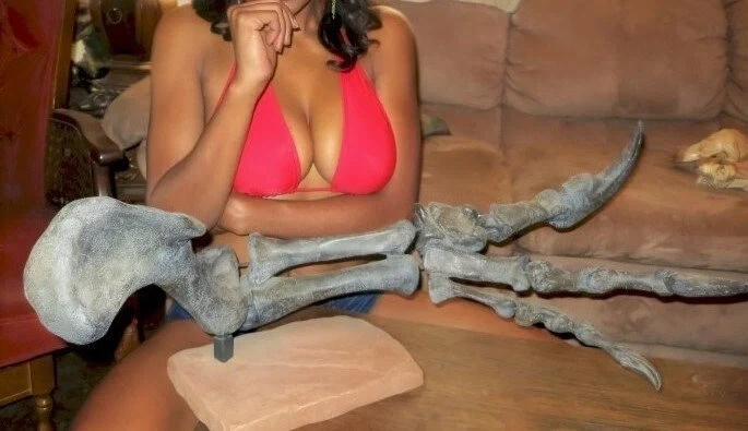 알로사우루스의 앞발 뒷발 화석_1.webp