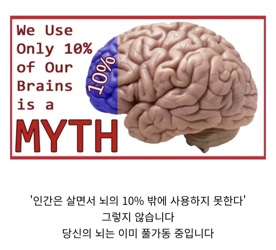 많은 사람들이 믿고 있는 유사과학_1.webp