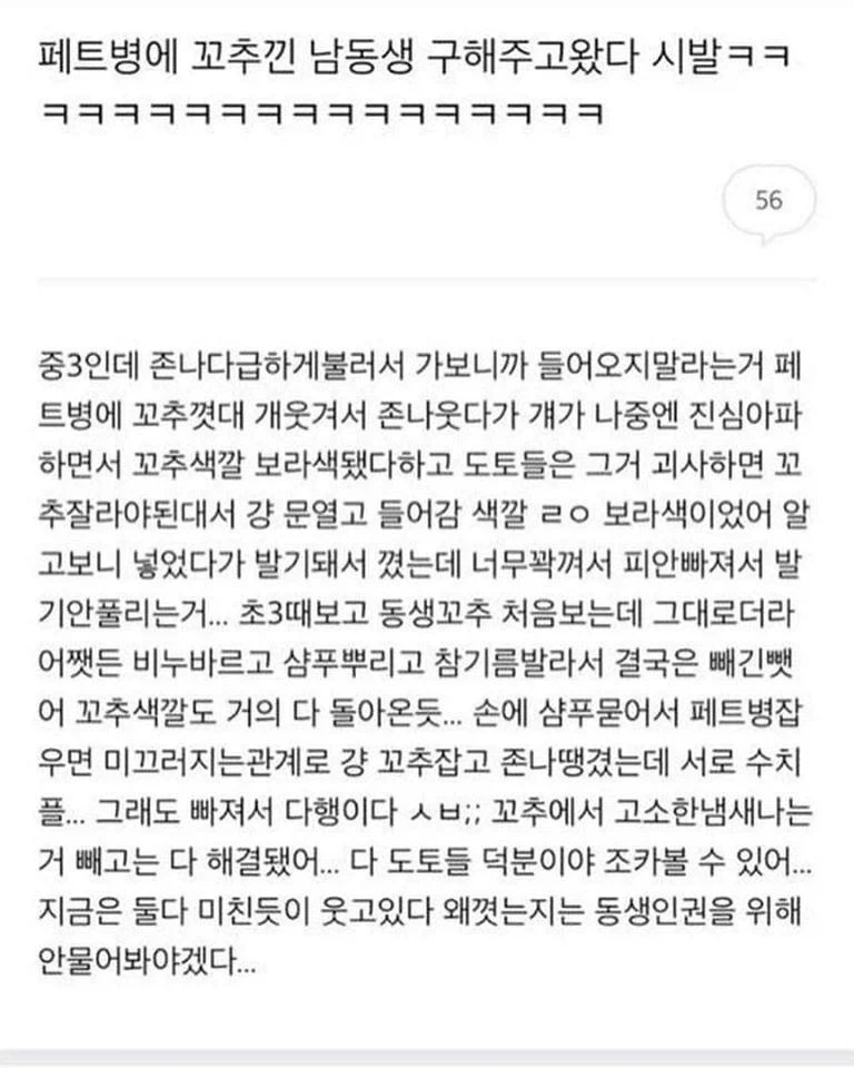 남동생 구해준 누나_1.webp