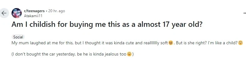 17살에 포켓몬 인형샀다고 엄마가 애같다 놀린 레딧 유저.jpg_1.webp
