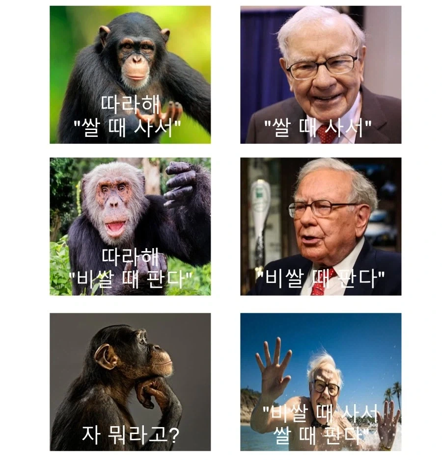 쌀때 사고 비쌀따 팔고 어쩌고 이런거보다_1.webp