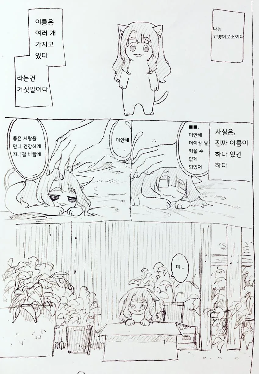 1604199895.jpg