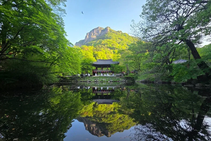불교가 포교랍시고 사람 귀찮게 안하는 이유.jpg_2.webp